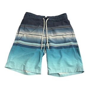 Goodfellow & Co Men's Blue Striped Swim Shorts